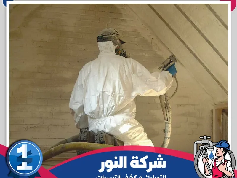 شركة عزل اسطح بالطائف