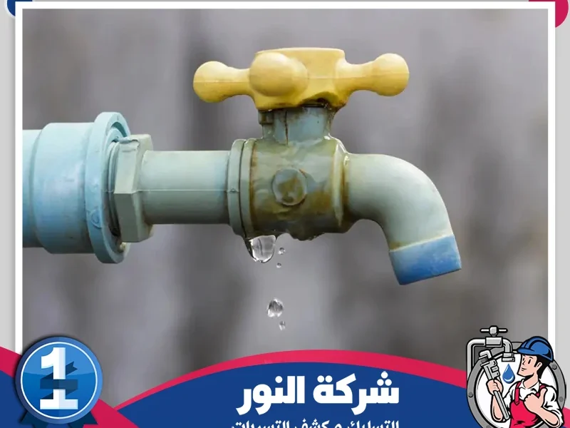 شركة كشف تسربات المياه بالاحساء