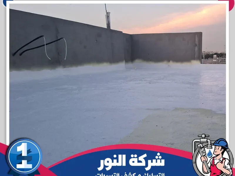 شركة عزل اسطح بالاحساء