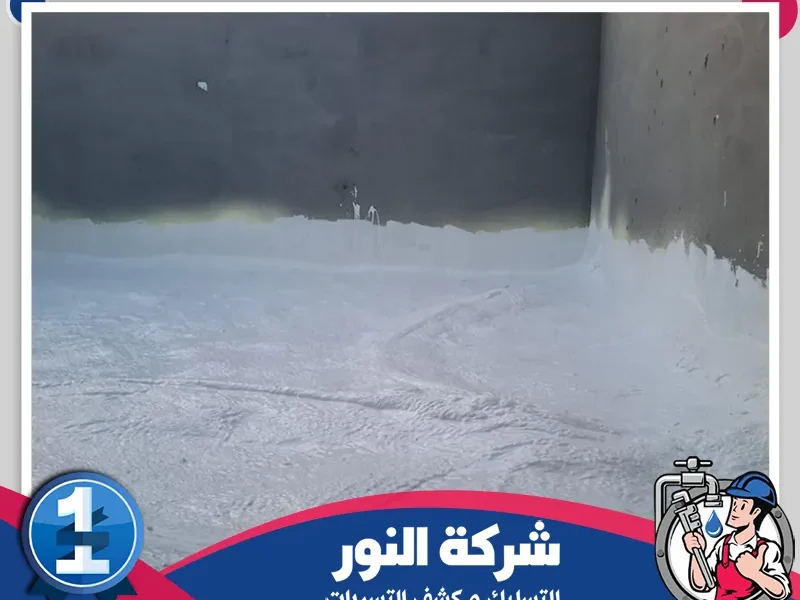 شركة عزل اسطح بالمبرز
