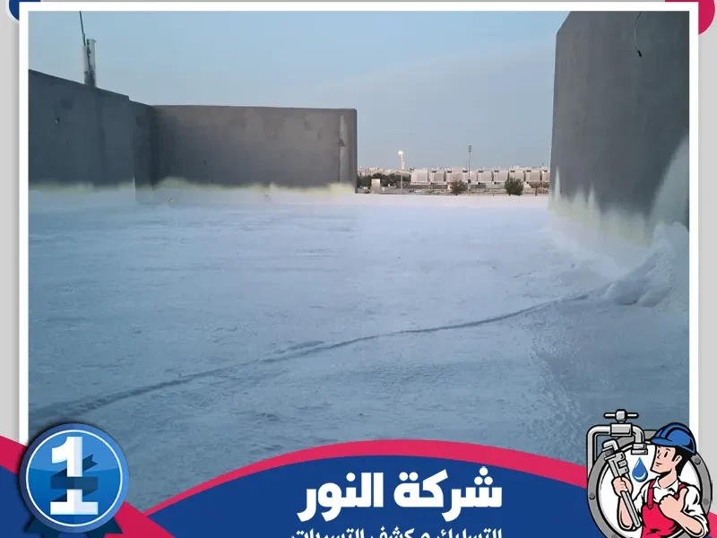 شركة عزل اسطح بالجبيل