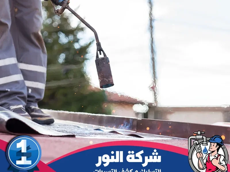 شركة عزل اسطح بالاحساء