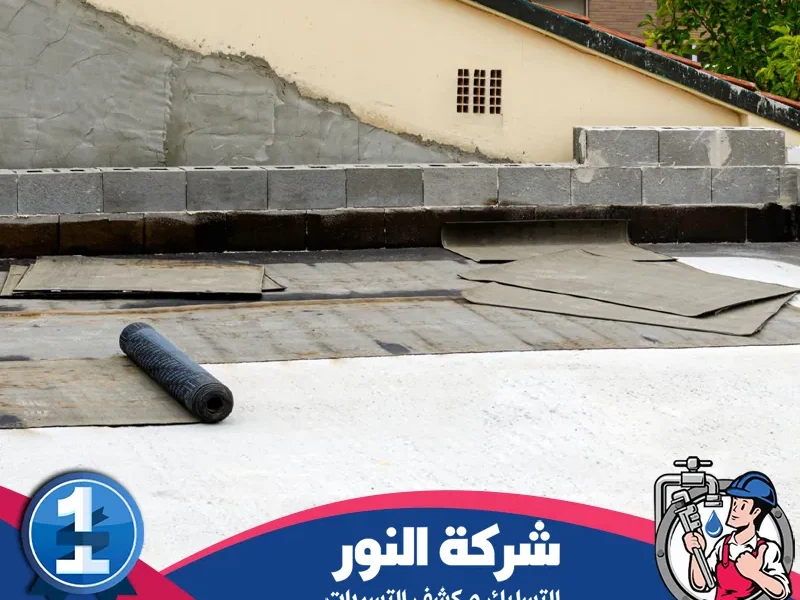 شركة عزل اسطح بالمبرز