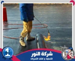 شركة عزل اسطح بالنعيرية