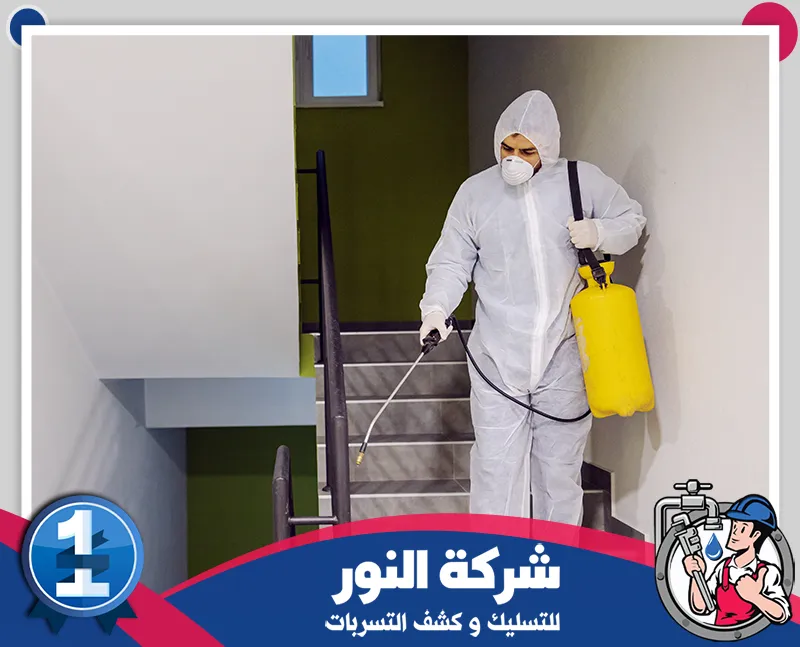 مكافحة النمل بسيهات | 0546824999 | شركة النور للتسليك عامل مجهز بوسائل الوقاية يرش الممرات والسلالم للحد من انتشار الحشرات داخل المبنى بدقة.