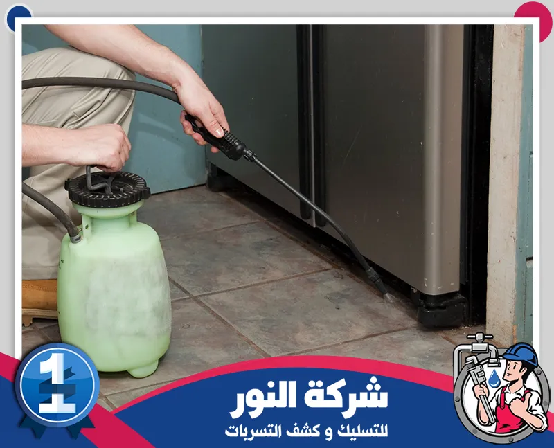 شركة رش حشرات بالدمام | شركة النور | 0546824999 رش حشرات بالدمام باستخدام معدات متخصصة للتخلص من الآفات والحفاظ على نظافة المنازل والمنشآت.
