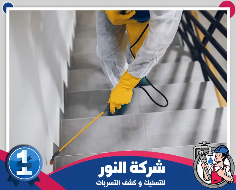 مكافحة الحشرات المنزلية بالدمام | شركة النور | 0546824999 رش حشرات بالدمام داخل المباني باستخدام معدات متخصصة للوصول إلى أماكن انتشار الآفات ومعالجتها.