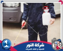 شركة مكافحة حشرات بالدمام