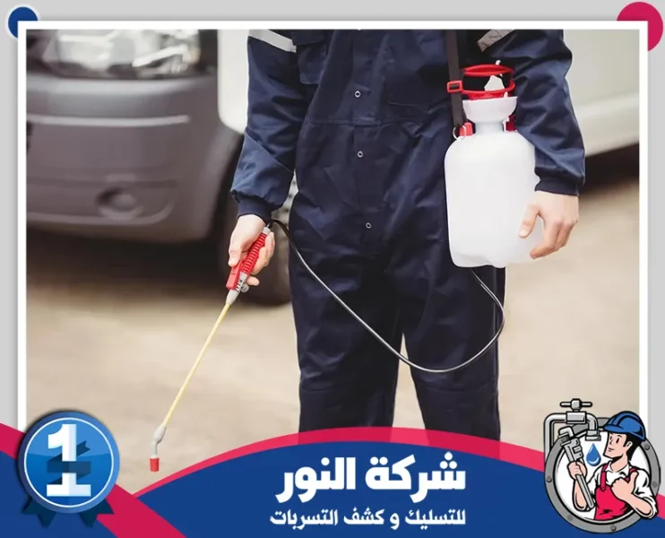شركة مكافحة حشرات بالدمام