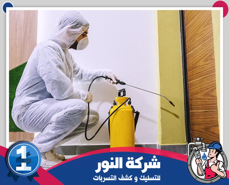 رش المبيدات الحشرية بالظهران داخل المنازل فني يرتدي معدات حماية أثناء رش المبيدات الحشرية بالظهران لمعالجة مناطق انتشار الآفات