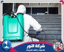 شركة مكافحة حشرات بالظهران