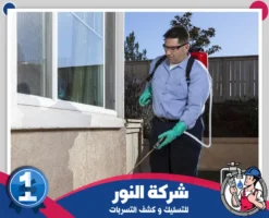 شركة مكافحة حشرات بسيهات