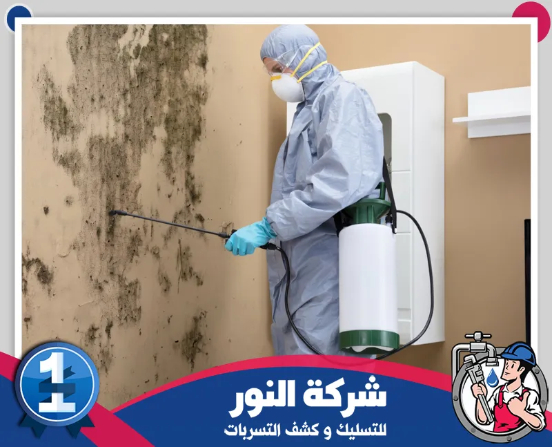 مكافحة العته بالجبيل | شركة النور فني يعالج الجدران المصابة ويرش المناطق المستهدفة ضمن شركة مكافحة حشرات بالجبيل.