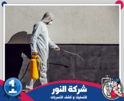 شركة مكافحة حشرات بالخفجي