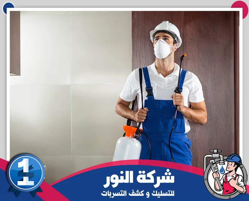 شركة مكافحة الوزغ بالخفجي | شركة النور فني يرتدي أدوات الحماية ويحمل جهاز رش المبيدات لتنفيذ أعمال مكافحة الحشرات داخل المباني.