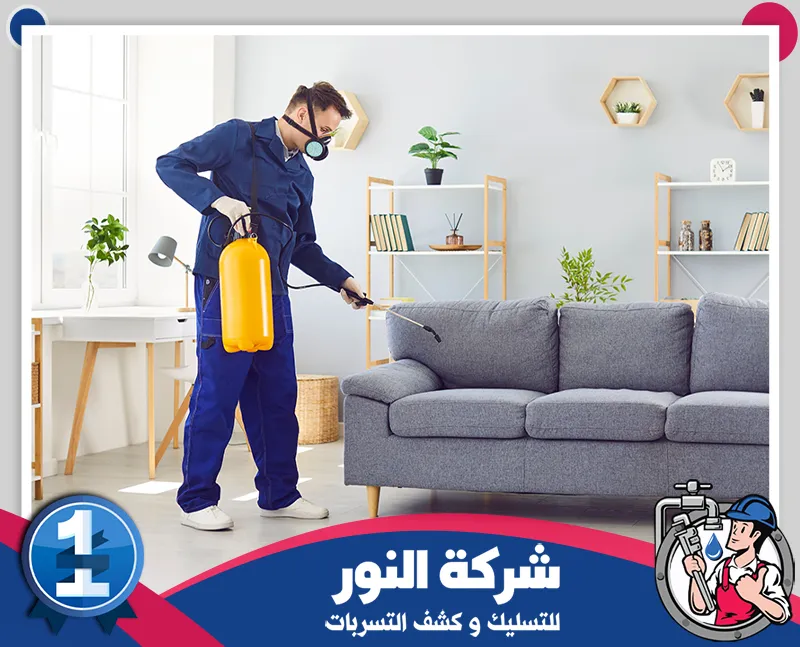 شركة رش مبيدات بالخبر | شركة النور | 0546824999 شركة النور لمكافحة الحشرات تقدم حلول رش ومكافحة متخصصة للتخلص من الآفات داخل المنازل والمنشآت.