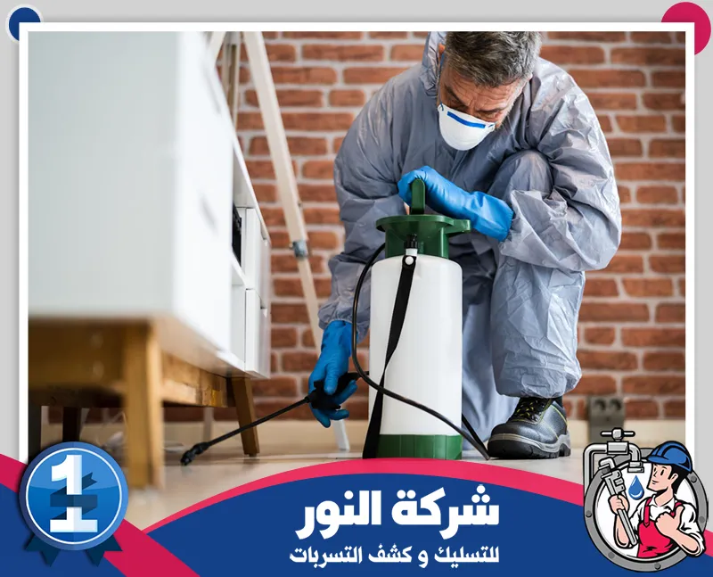 مكافحة الحشرات الطائرة بالخبر | شركة النور | 0546824999 تنفيذ أعمال رش المبيدات ومكافحة الحشرات باستخدام معدات متخصصة داخل المنازل والمباني.