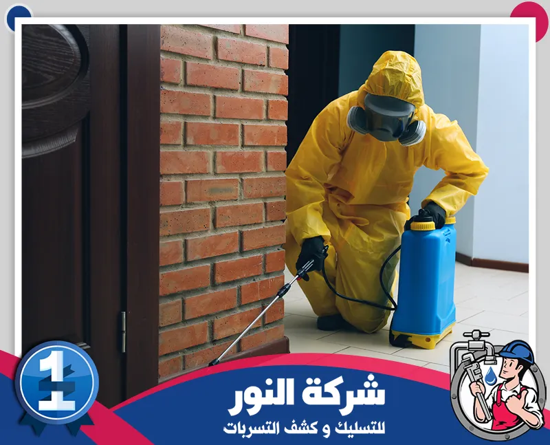 مكافحة الفئران بالخبر | شركة النور | 0546824999 تنفيذ مكافحة الحشرات باستخدام معدات رش متخصصة لمعالجة أماكن انتشار الآفات داخل المباني.