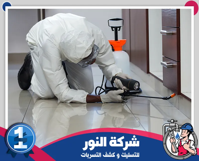 مكافحة النمل الأبيض بالخبر | شركة النور | 0546824999 فحص ومعالجة أماكن انتشار الحشرات داخل المنازل باستخدام أدوات مكافحة متخصصة وأساليب دقيقة.