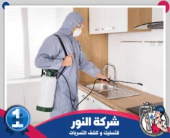 شركة مكافحة حشرات بالخبر