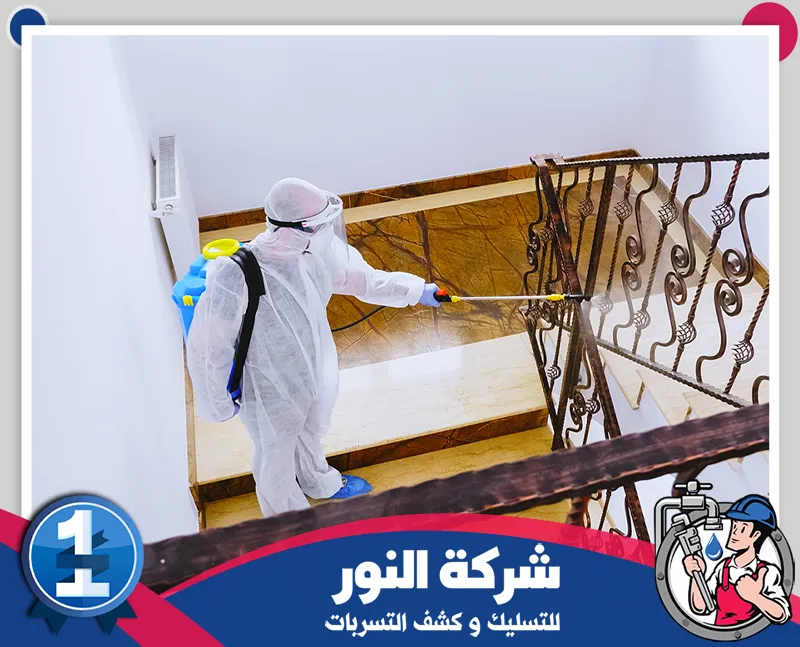 مكافحة الذباب والبعوض بالخبر | شركة النور | 0546824999 تنفيذ رش الحشرات في المباني باستخدام معدات متخصصة لمعالجة أماكن انتشار الآفات بفعالية.