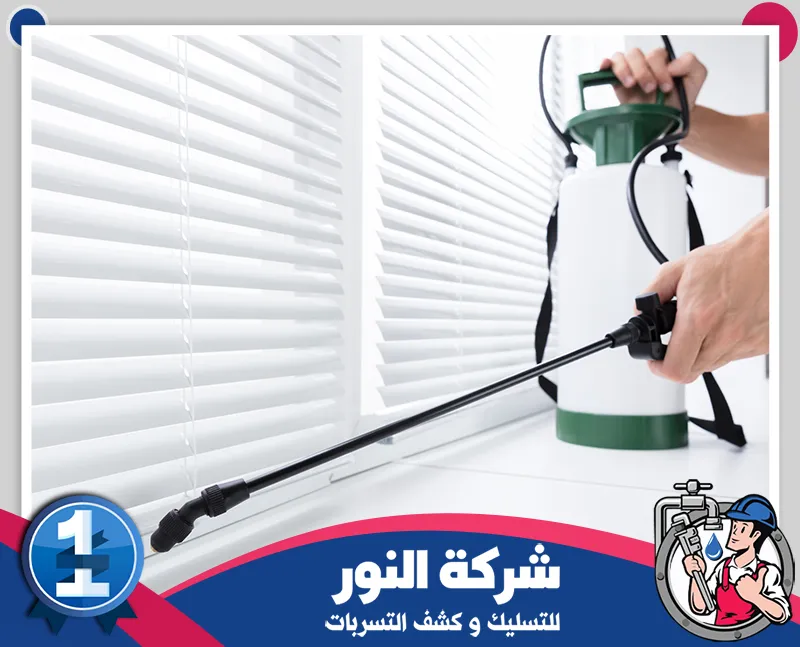 مكافحة الوزغ بالخبر | شركة النور | 0546824999 رش المبيدات داخل المنزل باستخدام معدات متخصصة لمعالجة الحشرات وحماية الأماكن من انتشار الآفات.