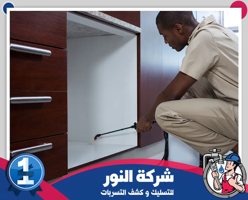 مكافحة الوزغ | 0546824999 | شركة النور للتسليك معالجة الخزائن والزوايا الداخلية بالمبيد للوصول إلى بؤر الحشرات في الأماكن الضيقة والمخفية.