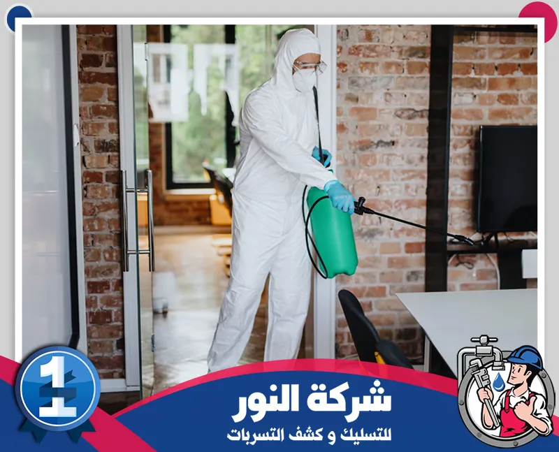 شركة رش حشرات بسيهات | 0546824999 | شرك النور للتسليك فني متخصص ينفذ رش المبيدات داخل المنزل ضمن خدمات شركة مكافحة حشرات بسيهات للحد من الآفات.