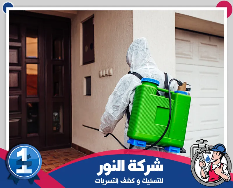 رش المبيدات حول المنازل بالقطيف فني من شركة مكافحة حشرات بالقطيف ينفذ رش المبيدات حول المنزل للحد من انتشار الحشرات والآفات.