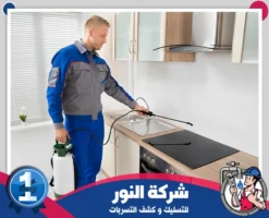 شركة مكافحة حشرات بالقطيف