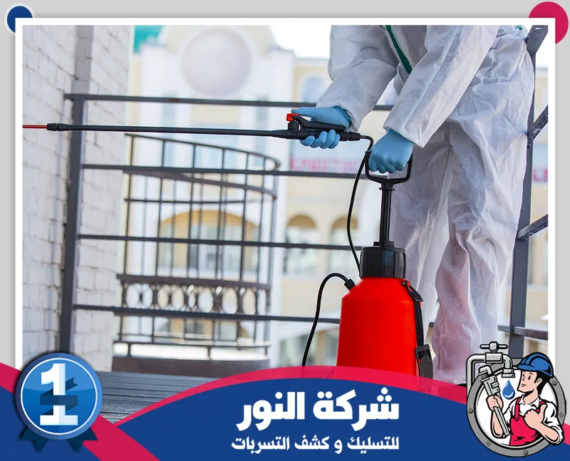 رش مبيدات براس تنورة| شركة النور شركة مكافحة حشرات براس تنورة تستخدم أجهزة رش متطورة لمعالجة الحشرات داخل وخارج المباني بفعالية.