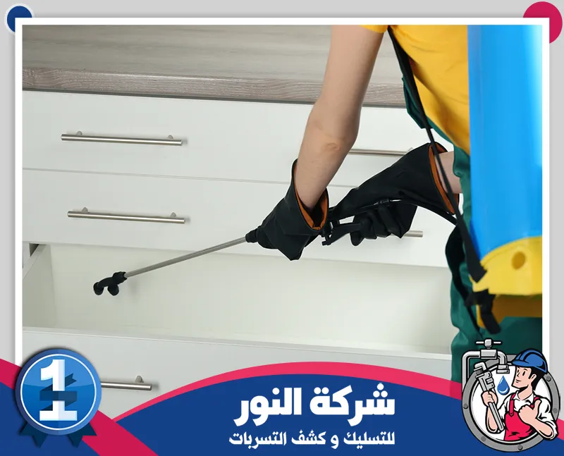 مكافحة النمل الأسود براس تنورة | شركة النور شركة مكافحة حشرات براس تنورة تنفذ عمليات رش داخل المطابخ باستخدام معدات حديثة للقضاء على الآفات.