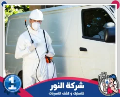 شركة مكافحة حشرات براس تنورة