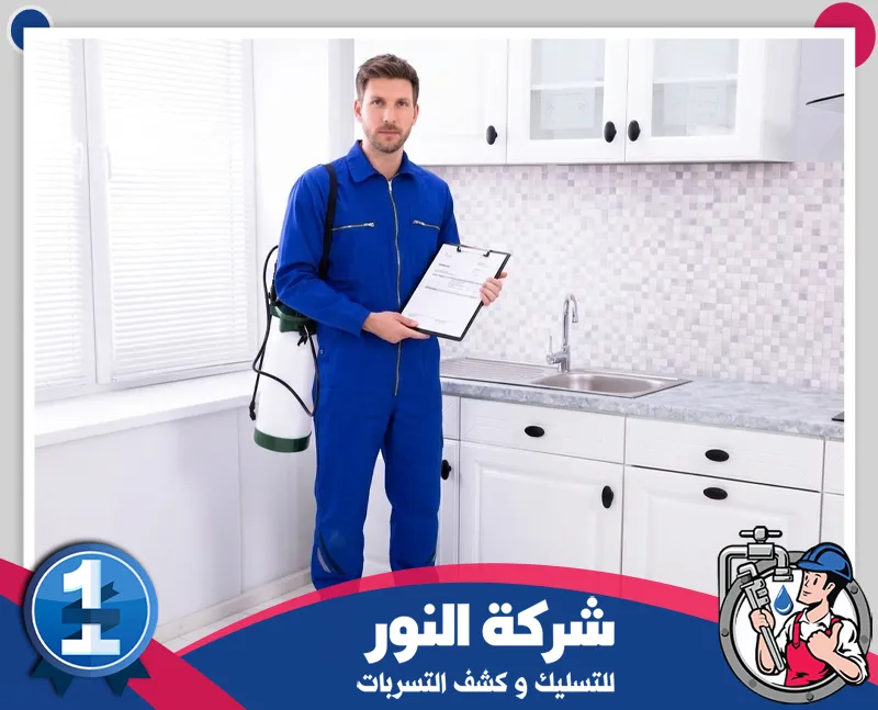 شركة مكافحة الفئران والقوارض براس تنورة | شركة النور شركة مكافحة حشرات براس تنورة تقدم فحصًا دقيقًا للمكان مع استخدام معدات رش حديثة للقضاء على الآفات.