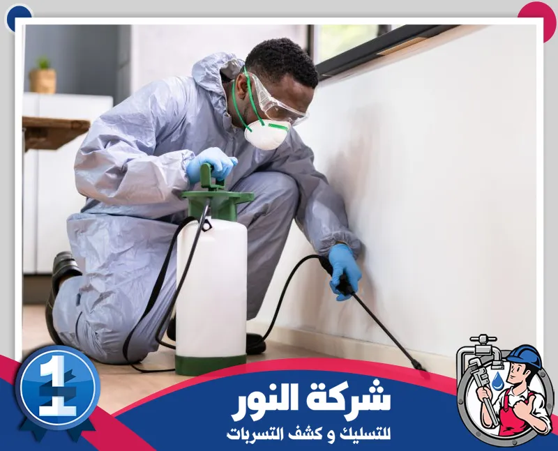 مكافحة بق الفراش | 0546824999 | شركة النور للتسليك فني يطبق مبيدًا موجّهًا على حواف الجدران ضمن خدمة رش حشرات بسيهات داخل المنازل والمنشآت.