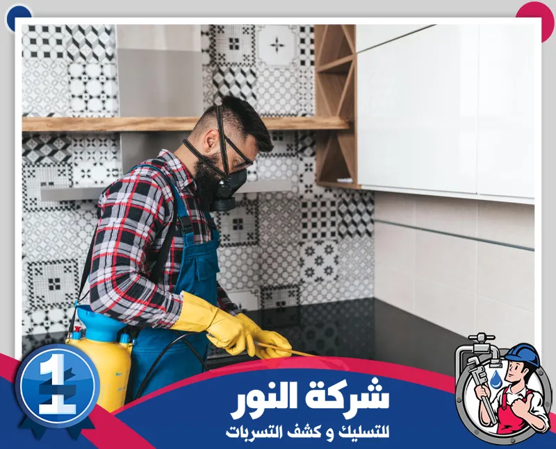 مكافحة البعوض والذباب | 0546824999 | شركة النور للتسليك تنفيذ رش مبيدات داخل المطبخ لاستهداف أماكن اختباء الصراصير والحشرات حول الخزائن والزوايا.