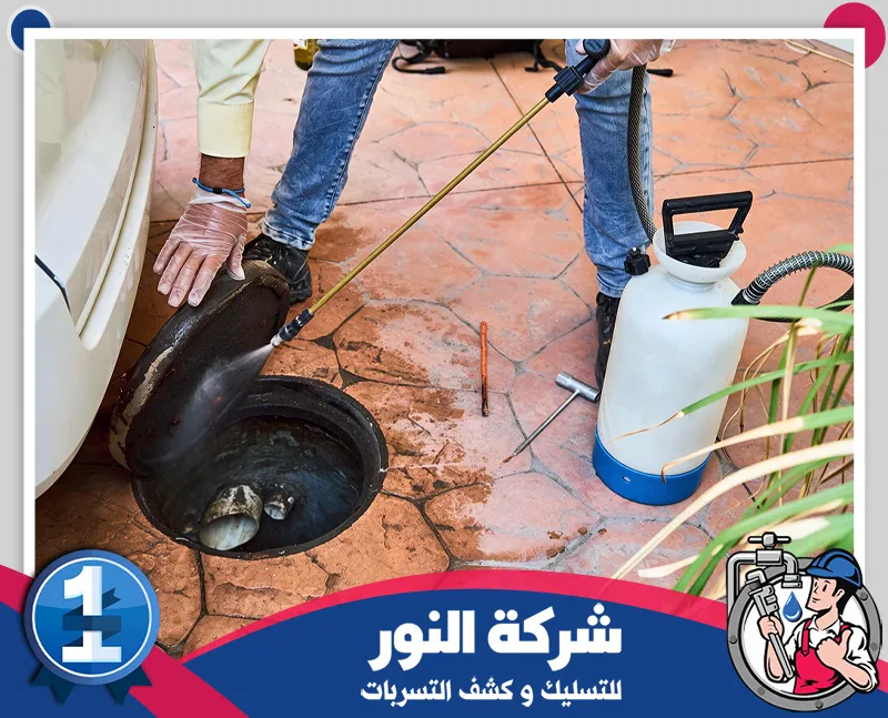 شركة مكافحة حشرات بالاحساء | شركة النور مكافحة الحشرات فتحات الصرف للحد من انتشارها في المنزل، مع معالجة أماكن اختبائها لتعزيز نظافة المكان.
