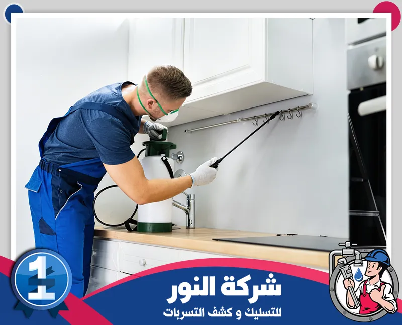 مكافحة النمل الاسود بالاحساء |شركة النور مكافحة آفات المطبخ بمعالجة الفواصل وحول الخزائن للوصول إلى مخابئها وتقليل انتشارها حول الحوض والأسطح