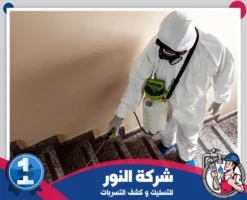 شركة مكافحة حشرات بالاحساء