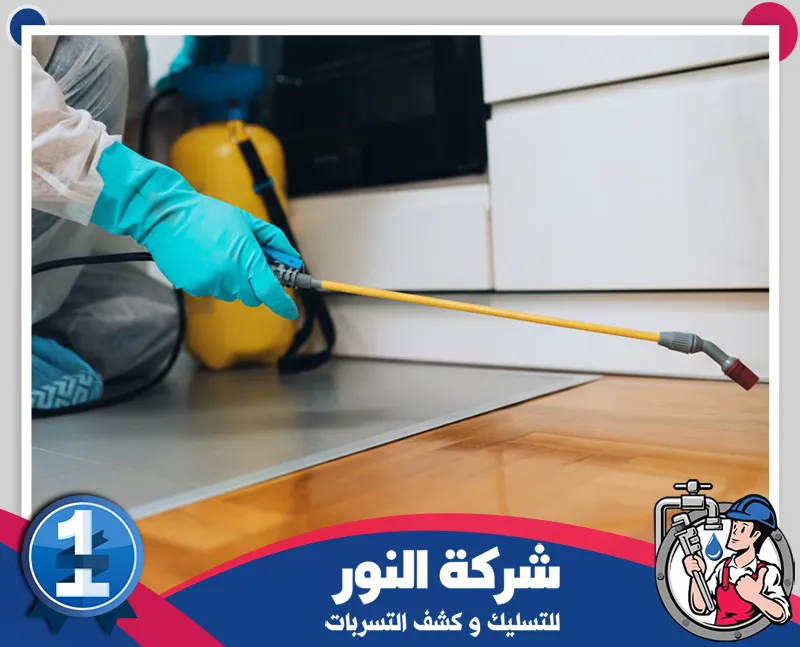 مكافحة بق الفراش ببقيق فني يفحص المراتب ومحيط السرير لتحديد أماكن بق الفراش قبل تنفيذ المعالجة المناسبة.