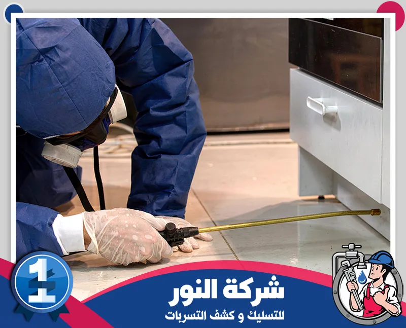مكافحة العقارب والثعابين ببقيق فحص المناطق الخارجية والفتحات المحتملة لتحديد أماكن دخول العقارب والزواحف إلى الموقع.
