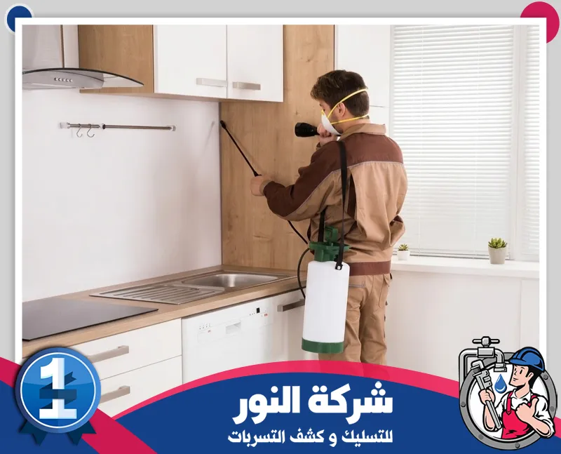 مكافحة النمل الأبيض والنمل ببقيق فحص المناطق القريبة من الأرضيات والأخشاب لتحديد مسارات النمل ومناطق الإصابة داخل الموقع.
