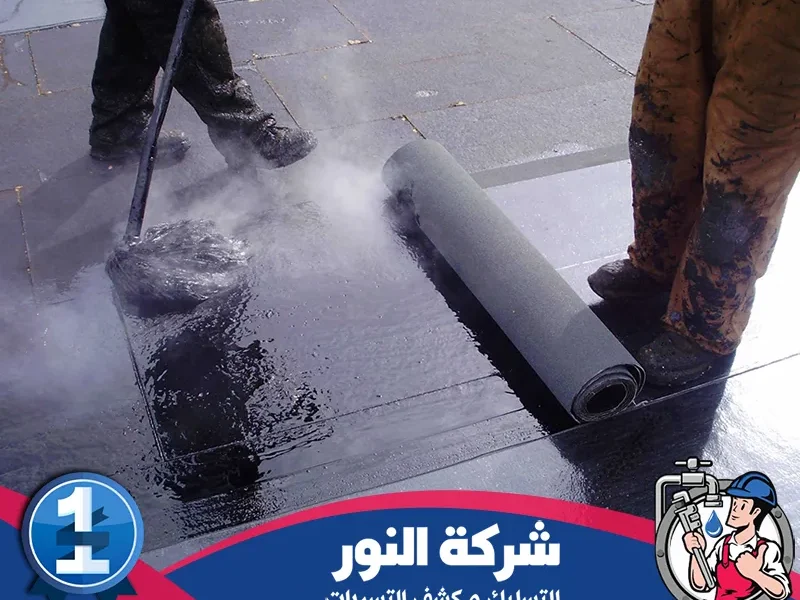 شركة عزل اسطح بالقطيف