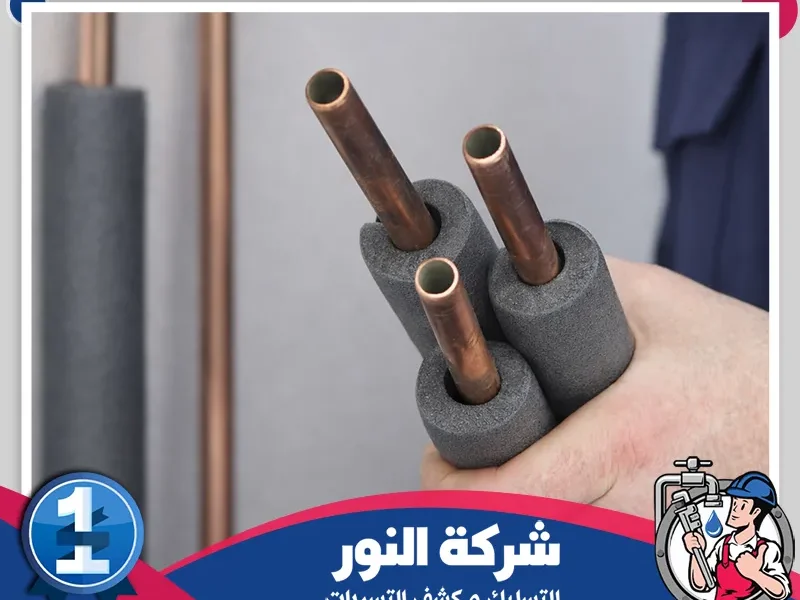 شركه عزل مواسير المياه بصفوي